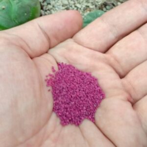 Starkle-G Insecticide- 250g